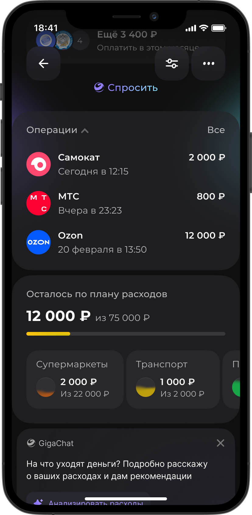 Макет раздела Анализ финансов. Контроль расходов
