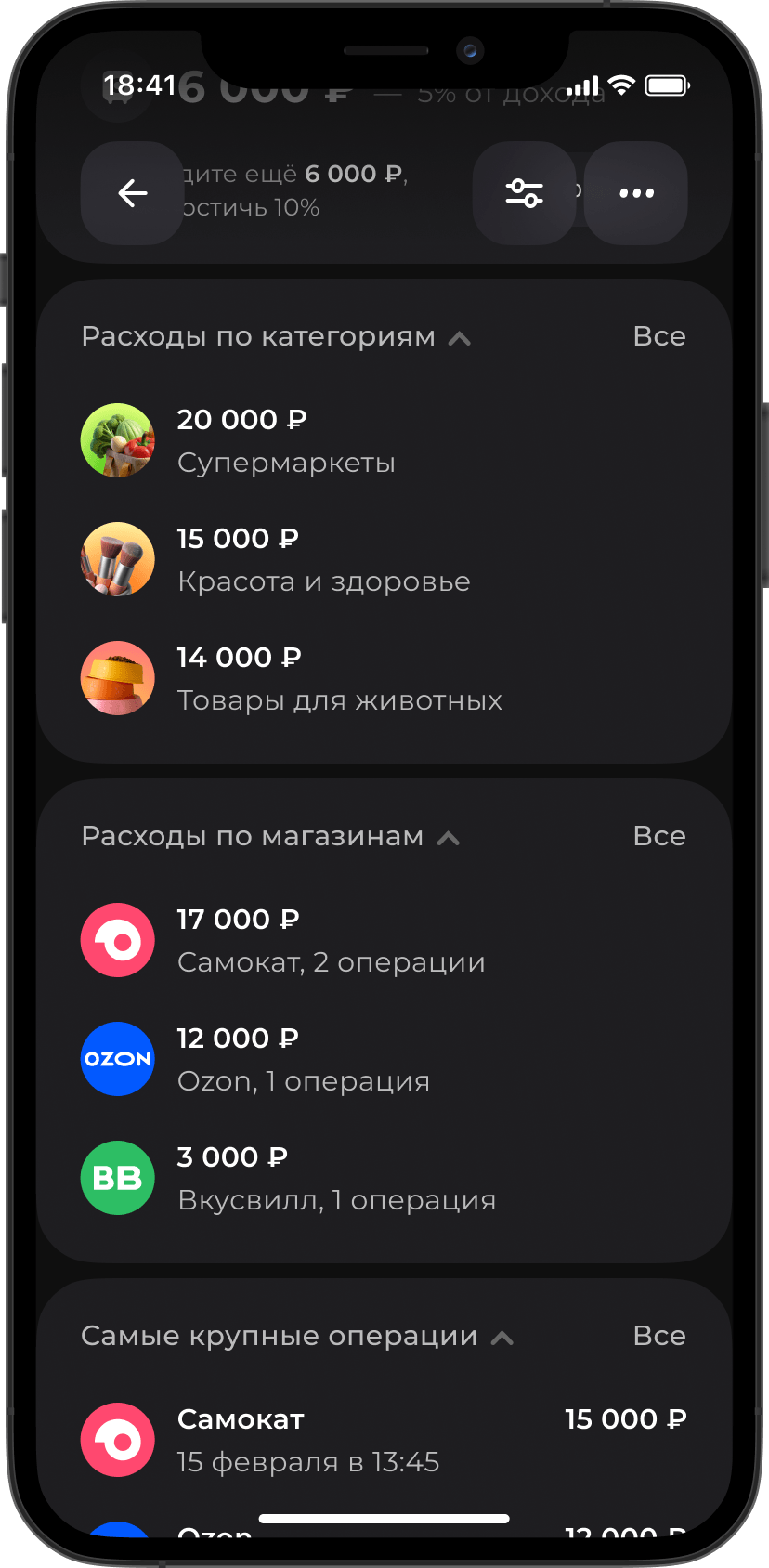 Макет раздела Анализ финансов. Расходы в разрезах