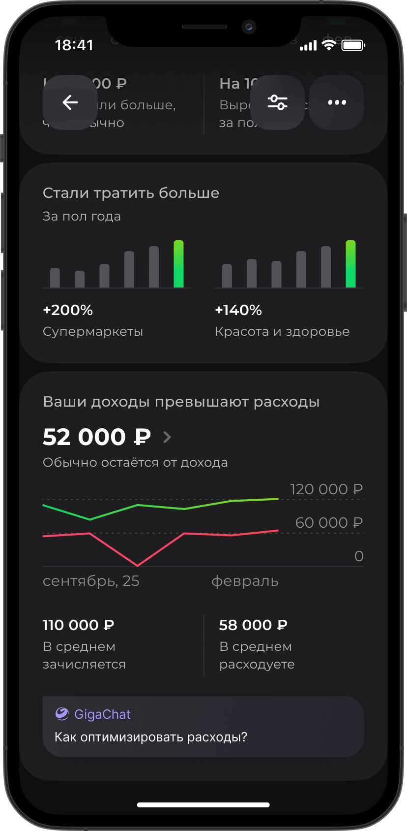 Макет раздела Анализ финансов. Свожу ли я вообще концы с концами